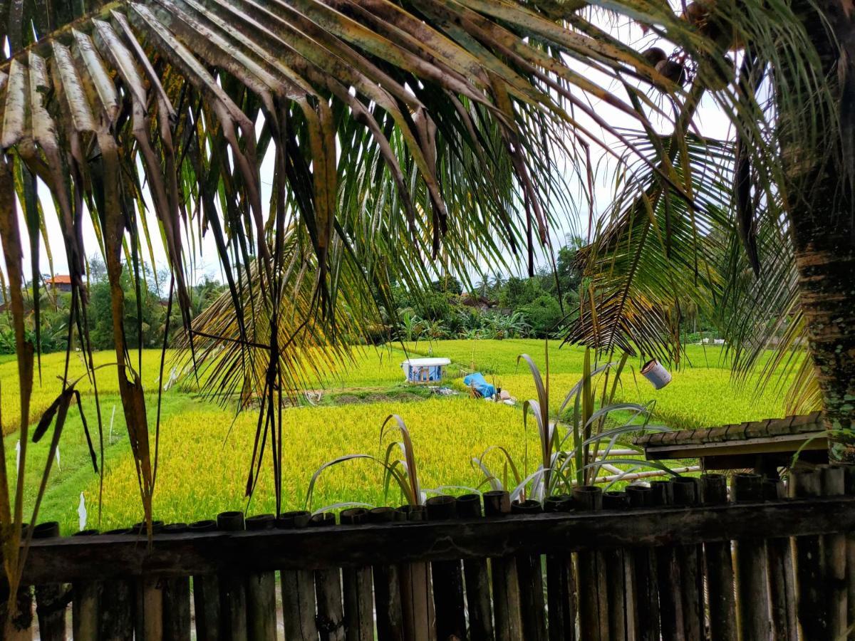 Kakau Villa 2 - Ubud Luaran gambar